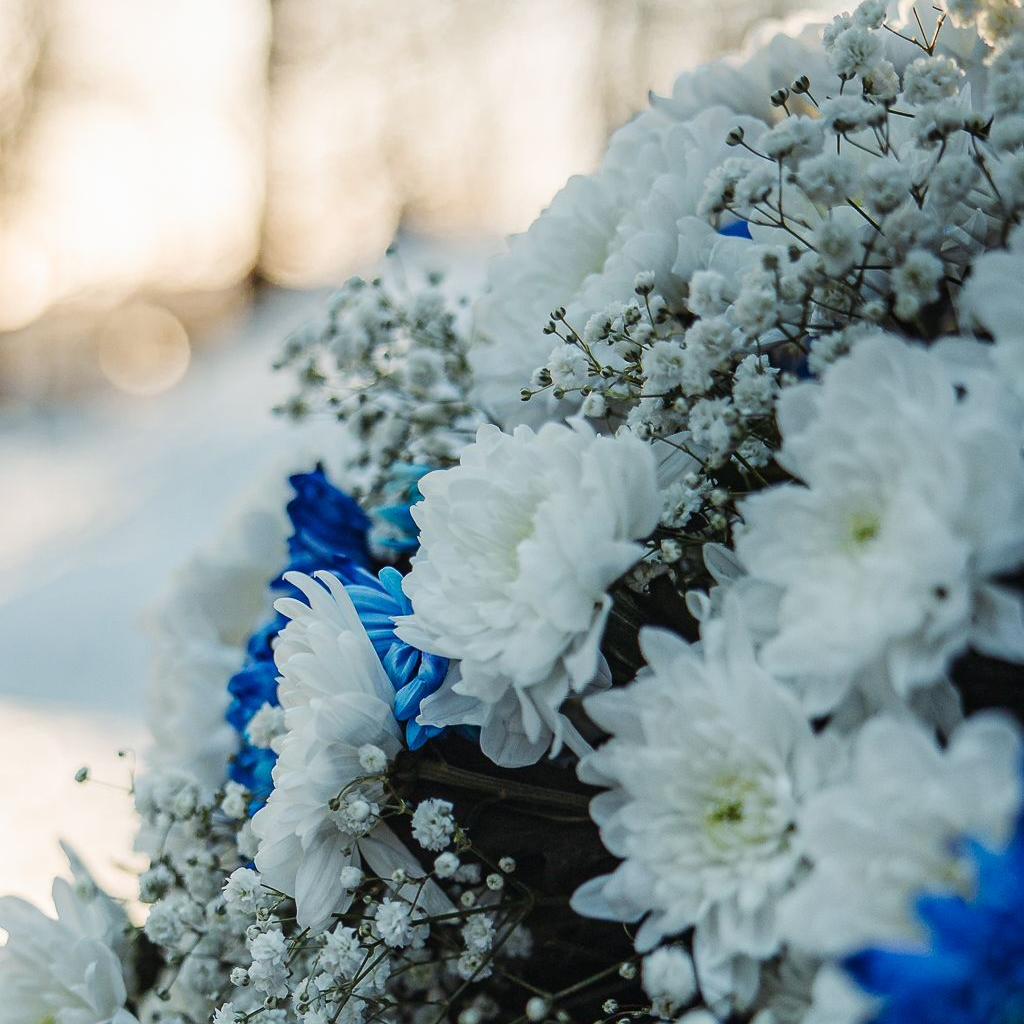 Sinimandria kinkekaart