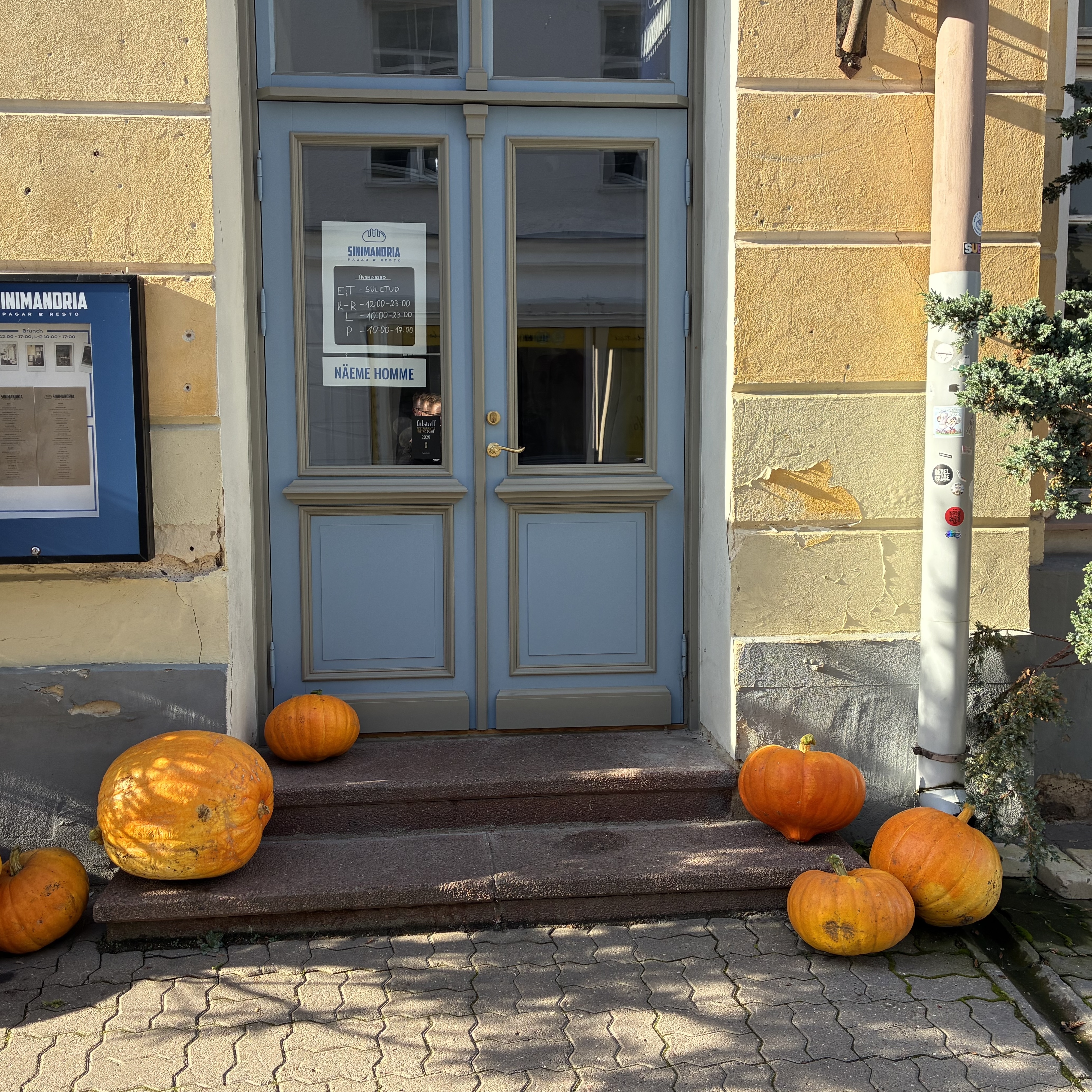 Sinimandria väliterrass Tartus